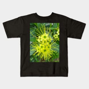Golden Penda (Xanthostemon chrysanthus) Kids T-Shirt